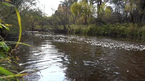 White foam on the surface of the water in a small forest river with dark water Stock Footage 142364360