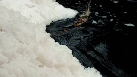 White foam texture in a black forest river with leaves Stock Footage 158890850