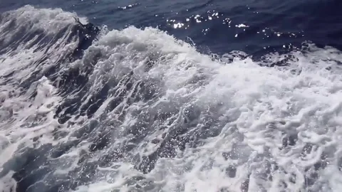 White foam trail in the dark sea from a speedboat-5 Stock Footage 80491670