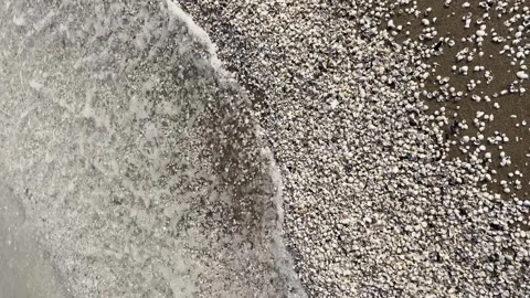 White foam waves of sea on pebble of seashells. Slow motion. Sea foam waves at Stock Footage 242073783