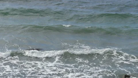 White foaming ocean waves in close-up view with a seagull - top view Vidéo 139230784