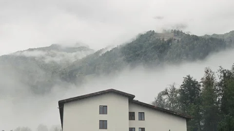 White fog clouds float in mountains among forest. Mysterious landscape, autumn Stockbeeldmateriaal 220197227