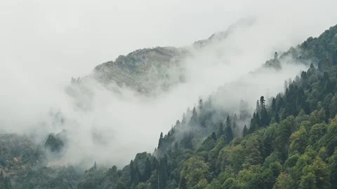 White fog clouds float in mountains among forest. Mysterious landscape, autumn Stock Footage 220197270