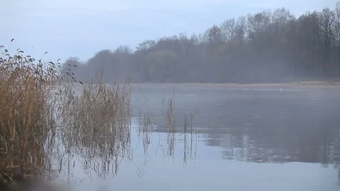 White fog over the river Stock Footage 121378956