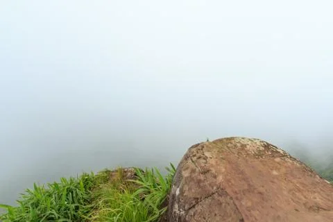 White fog Stock Photos