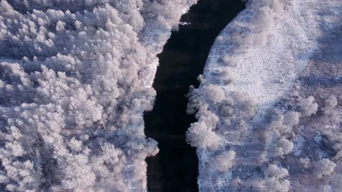 White forest, curvy river in winter. Aerial view of nature in winter Stock Footage 168078624