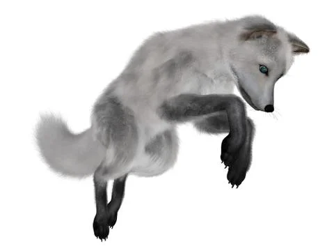 White fox hunting - 3D render Stock Illustration