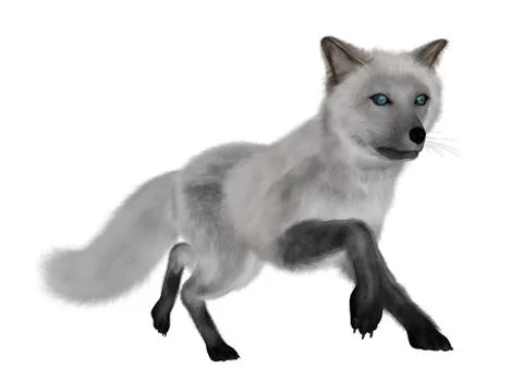 White fox running - 3D render Illustrazione stock