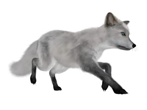 White fox running - 3D render Stock Illustration