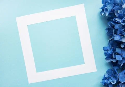 White frame and blue hydrangea flowers Foto stock