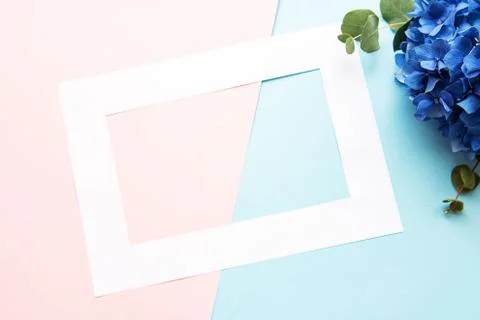 White frame and blue hydrangea flowers Foto stock