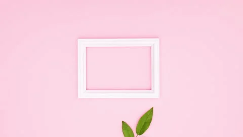 White frame appear on pink theme and green leaf fall next to frame. Stop motion 動画素材 137868374