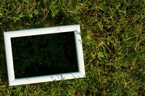 White frame with black space for text on freshly greenery grass Stock Photos