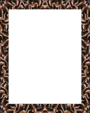White Frame with Decorated Borders Illustrazione stock