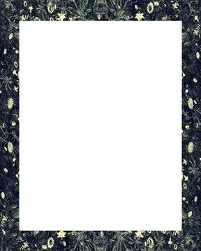 White Frame with Decorated Borders White frame background with decorated d... Stock Photos