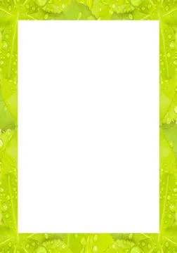 White Frame with Decorated Borders White frame background with decorated d... Stock Photos