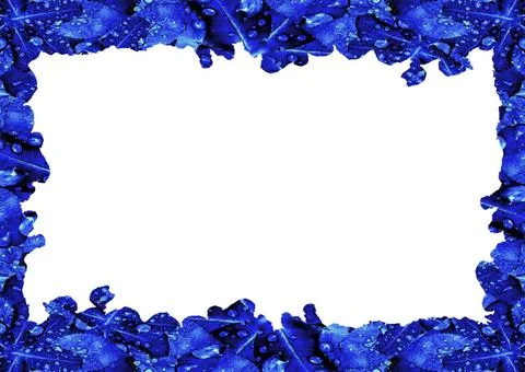 White Frame with Decorated Borders White frame background with decorated d... Stock Photos