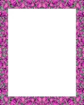 White Frame with Decorated Borders White frame background with decorated d... Stock Photos