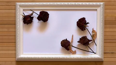 White frame with five dried red roses and empty place for text on bamboo wall. Stock Photos