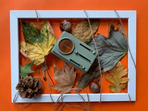 White frame with flashlight on autumn leafs Stock Photos