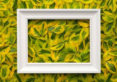 White Frame with Leaves for Background Stock Photos
