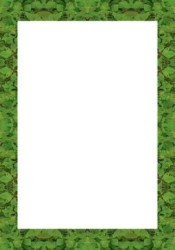 White Frame with Leaves Borders White frame background with decorated desi... Stock Photos