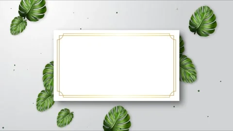 White frame with monstera leaf ornament green screen background Stock Footage 277199691