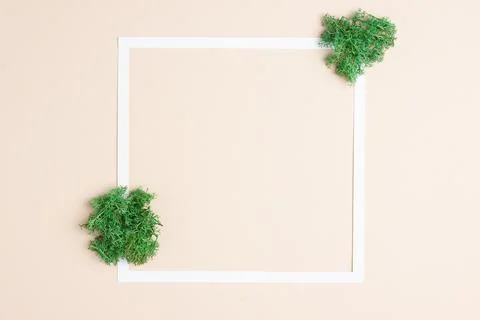 White frame with moss on beige background. Flat lay, copy space. Stock Photos