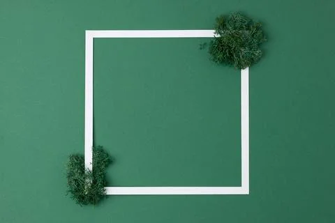 White frame with moss on green background. Flat lay, copy space. Stock Photos