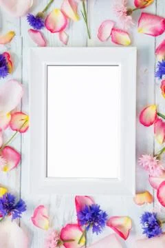 White frame with petals around frame Stock Photos