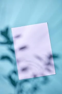 White frame with a shadow pattern on a blue paper background. Festive card. Flat Foto stock