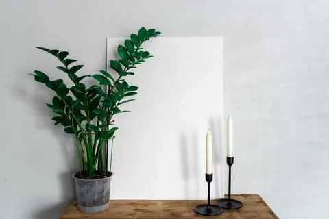 White frame with space for writing on a table with a flower in a pot Stock Photos