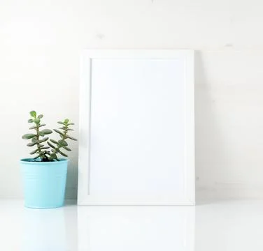 White frame, succulent on white table against the white wall. Mo Stock Photos
