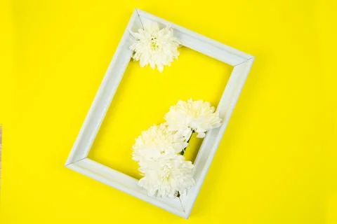 A white frame with three white flowers on a bright yellow background inside Stock Photos