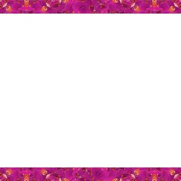 White Frame wtih Decorated Borders White frame with stylized floral geomet... Foto stock