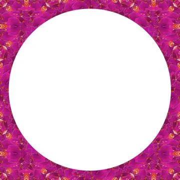 White Frame wtih Decorated Borders White circle frame with stylized floral... Stock Photos
