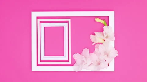 White frames appear in big frame with white flowers on pink theme. Stop motion Stock Footage 138183424