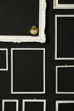 White frames over black wall Stock Photos