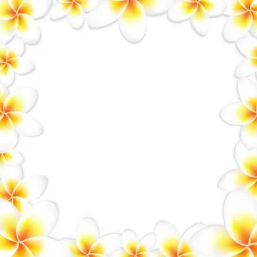 White frangipani frame Stock Illustration