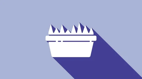 White Fresh grass in a rectangular icon isolated on purple background. Home Vídeos de archivo 148294974