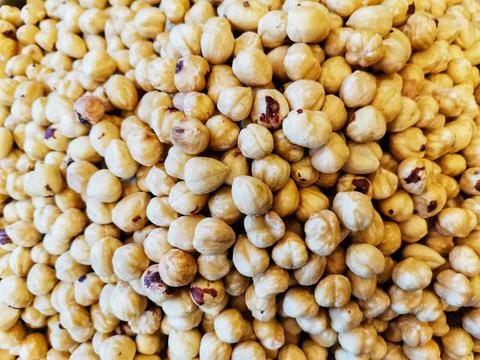 White fresh hazelnuts. Stock Photos