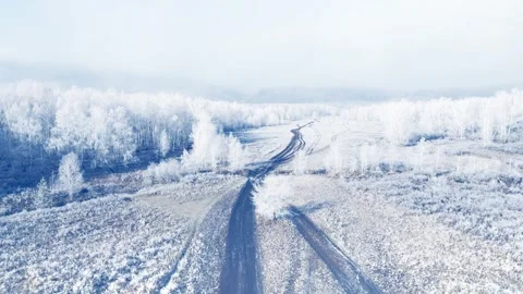 White frost-covered trees in winter forest at foggy sunrise. Aerial view. Stock Footage 255637320