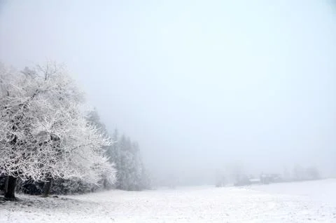 White frost landscape in Sweden Stock Photos