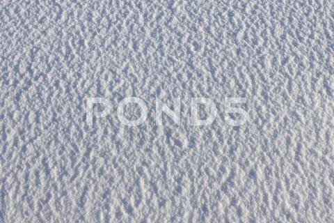 White frost snow texture Stock Photos