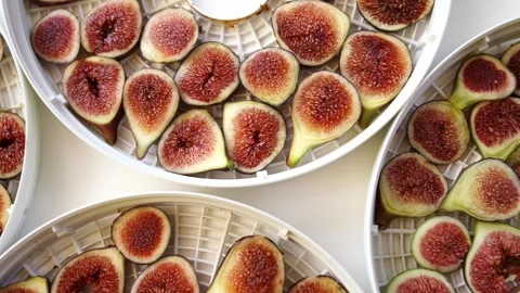 White fruit drying trays with fresh red sliced figs Stock Footage 281304357