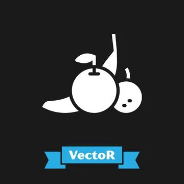 White Fruit icon isolated on black background.  Vector Stock Illustration
