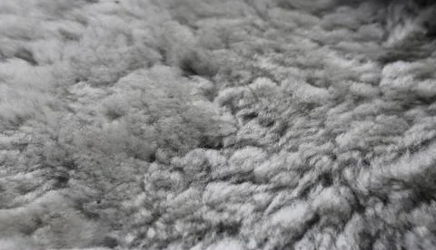 White fur background texture Stock Photos