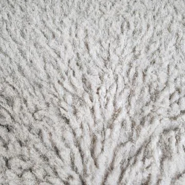 White fur carpet texture Stock Photos