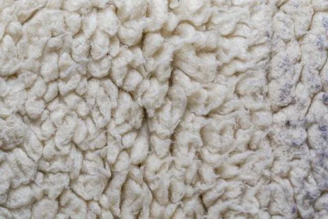 White Fur Close up Background Stock Photos