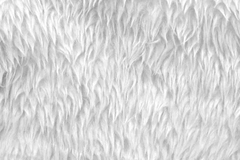 White fur Foto stock